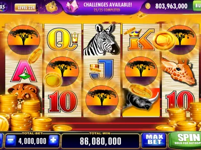 Cassino ao Vivo 55ll Bet